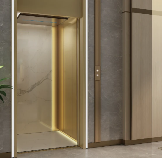 Chinese Style Home Lift